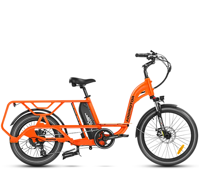 Graoopro Cargo eBike